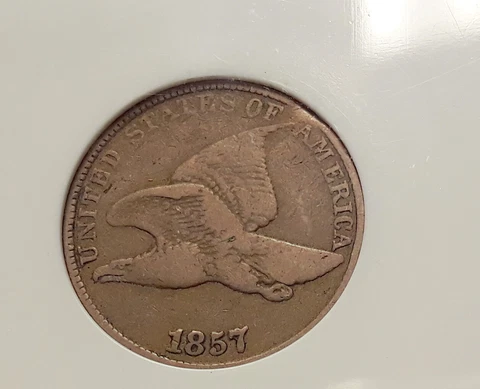 1857 Flying Eagle Cent - Fine - Clipped Planchet  (SB) 016   ENN COINS Cover