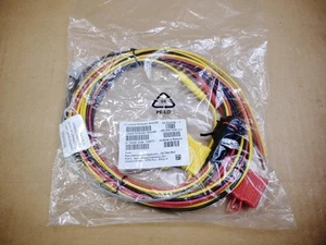 OEM Motorola HKN6188B 10ft. Przewód zasilający głowicy sterującej do radia APX / XTL ✔✔✔✔✔ - Zdjęcie 1 z 3