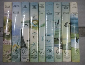 9 x Collins New Naturalist Bloomsbury Edition Vögel MEERKÜSTE Naturgeschichte - Bild 1 von 17