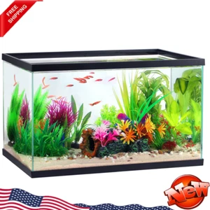 10 Gallon Glass Aquarium Transparent Fish Tank Aquatic Pet Rectangle 20"×10" US - Picture 1 of 3