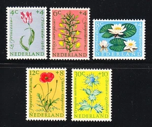 Niederlande 1960 postfrisch Mi 746-750 Sc B343-347 Satz Blumen ** - Bild 1 von 1