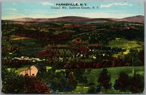 Postcard Parksville New York 1948 Catskill Mountains Scenic View Sullivan County - Picture 1 of 2