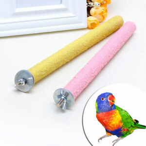 Parrot Paw Grinding Perch Stand Pet Bird Quartz Branch Budgie Shelf Chewing Toys