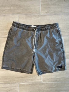 Rip Curl Men’s Lazy Day Shorts | Gray | Medium | Drawstring - Picture 1 of 6