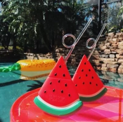 维多利亚的秘密粉色西瓜杯带吸管 13.5 盎司全新带盒 — 第 1/4 张图片