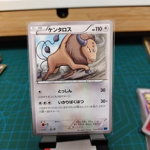 Pokemon Card Japanese - Tauros 045/060 XY1 - Picture 1 of 2