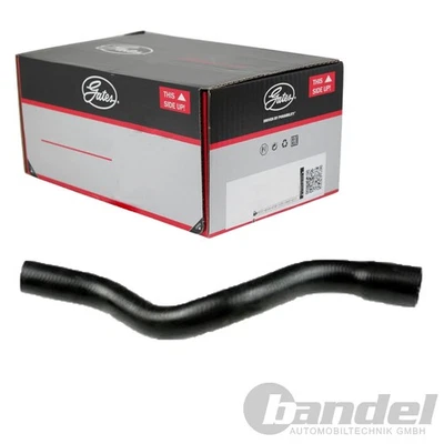 GATES Manguera Agua Fría Superior Apto para Citroën Jumpy Fiat Scudo Peugeot - Imagen 1 de 2