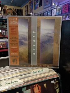 The Scenic The Acid Gospel Experience Clear Green Vinyl Record Store Day 2024 - Picture 1 of 14