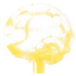 1 Pound Effetre (Moretti) GLASS ROD-MIMOSA YELLOW-5-6mm (1556640) - Picture 1 of 1