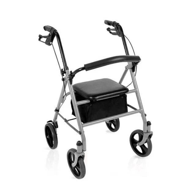Deambulatore Rollator - Pieghevole in acciaio Argento - Moretti - Immagine 1 di 1