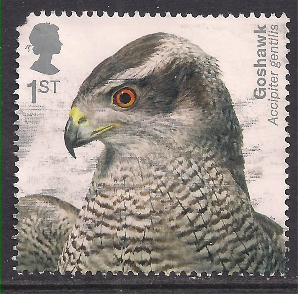 GB 2019 QE2 1st Birds of Prey ' Goshawk ' used SG 4206 ( M1188 ) - Image 1 of 1
