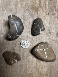 Lote de piedras suaves relámpagos Michigan piedras curativas septarias lote LS2 - Imagen 1 de 2