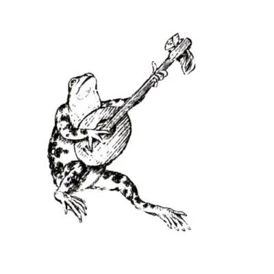 Sello de goma sin montar de rana y banjo, mandolina, música, hoedown, animal #10 Foto 1 de 3