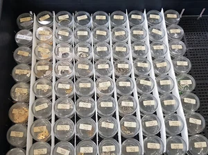 NOS Rado AS 1858 A Schild Assorted watch PARTS AS1858 DROP DOWN CHOOSE - Picture 1 of 69