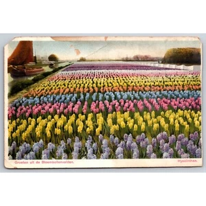 Postcard Groeten ult de Bloembollenvelden 0714 - Picture 1 of 2