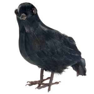 Deko Krähe Schwarzer Rabe echte Federn Gothic Vogel Horror Dekofigur Raumdeko - Bild 1 von 2