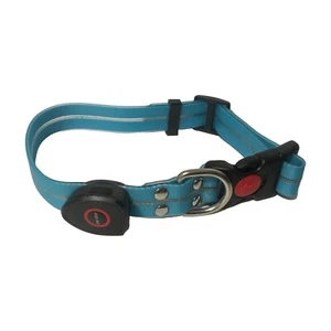 LED Dog Collar - Rechargeable - Pet Safety - Pro Tech Products - Picture 1 of 5