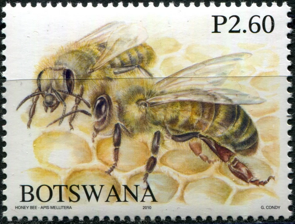 Botswana 2010. Honey Bees of Botswana (II) (MNH OG **) Stamp - Image 1 of 1