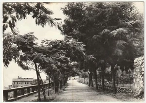 MOROLO - FROSINONE - LA PASSEGGIATA S. ANTONIO - VIAGG. -66227- - Picture 1 of 1