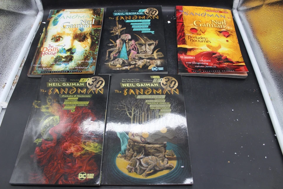 The Sandman Different Volumes Neil Gaiman TPB Lot 2010 - Image 1 of 3