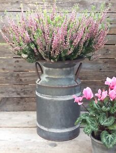 SECONDS Large Vintage Style Metal Milk Churn Urn Garden Planter Flower Pot Tub 