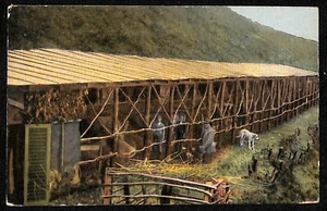 ab5387 - ANTIKE AK - Provinz Varese: CUASSO AL MONTE - Bild 1 von 2