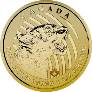 Moneda de oro Canadá Call of the Wild - Growling Cougar 2015 blister original de 1 oz - Imagen 1 de 4