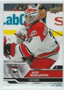 2019-20 Upper Deck AHL #29 Alex Nedeljkovic (goalie)