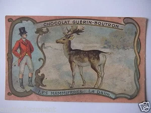CHROMOS ANNÉE 1890-1900 CHOCOLAT GUÉRIN-BOUTRON LES MAMMIFÈRES " LE DAIM " - Bild 1 von 2