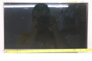 LP156WH3(TL)(S2)  LCD Screen Replacement  Laptop Used LED HD Glossy 40 pin - Picture 1 of 2