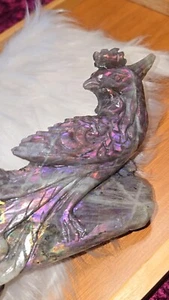 Rosa lila Labradorit Phönix handgeschnitzt hochwertig natürlich 1 Pfund 6,9 Onz - Bild 1 von 6