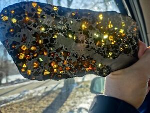 Seymchan meteorite pallasite slice 468gr