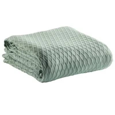 Bianca Gosford Cotton Blanket Sage - image 1 of 2