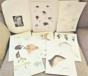 A NATURALISTS PORTFOLIO of Field Sketches . 1982 Olaus J. Murie . 7 pgs drawings - Imagen 1 de 7
