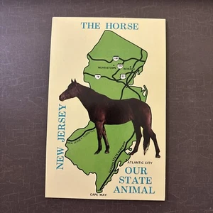 Large Letter Postcard New Jersey State map and Quarter Horse State Animal - Picture 1 of 2