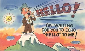 Tarjeta postal cómica HELLO I'M Waiting for You to Echo Hellow to Me - Imagen 1 de 2