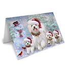 Christmas Running Dogs Cats Holiday Family Friends Greeting Invitation Card