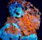 183 Gm Beautiful Rare Fluorescent Lazurite With Pyrite & Phlogopite Specimen~Afg