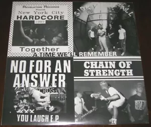 REVELATION RECORDS - Various "A Time We'll Remember" - HC LP VERY RARE BOOTLEG - Foto 1 di 4