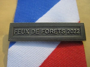 Agrafe FEUX DE FORÊTS 2022 Métal Argenté Médaille de la Sécurité Intérieure - Picture 1 of 1