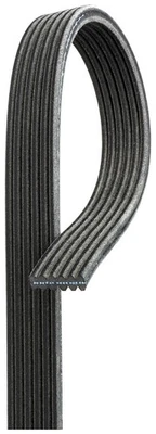 Gates V-ribbed belt for Seat VW - Image 1 of 2