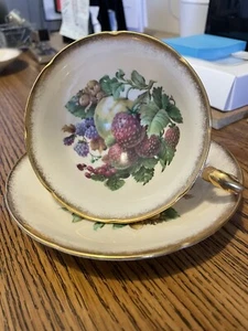Vintage Paragon Fruit Orchard Tea Cup & Saucer Gold Gilt Strawberry Current - Picture 1 of 5