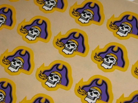 EAST CAROLINA PIRATES Football Helmet Awards Decals Qty (15) FULL Size 3M 20MIL Cover