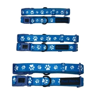 Nylon Dog Collar Small Medium Large Dog Collar with Soft Neoprene Padding - Picture 1 of 13