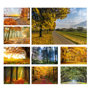 5x3ft Summer Autumn Forest Backdrop Vinyl Beach Photography Background Props