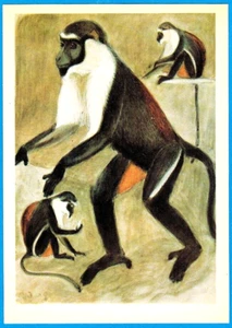 V.Vatagin 1978 Russian postcard MONKEYS - Picture 1 of 2