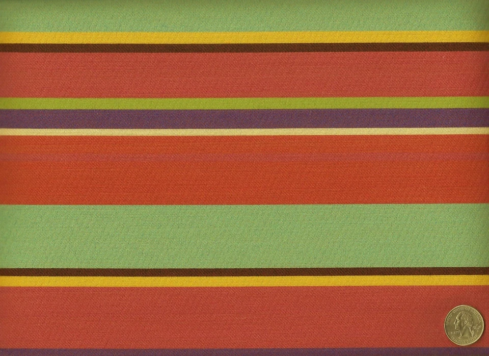 Tela de tapicería a rayas audaces Sunbrella Momentum Anywhere Carousel Sina Pearson Foto 1 de 1