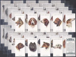 PLAYERS-FULL SET- DOGS BY WARDLE 1929 (HEADS 50 CARDS) EXCELLENT - Picture 1 of 4