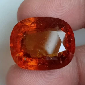 45.45 CT Natural Hessonite Garnet AGR Certified Cushion Shape Untreated Gemstone - Bild 1 von 5