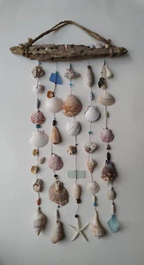 Beautiful Hand Made Seashell Wind Chimes on Driftwood 12" by 24" Coastal Decor - Picture 1 of 10